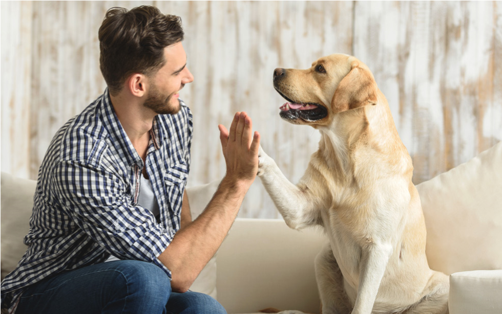 Independent practices work together to provide top-quality care