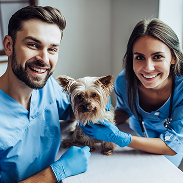Happy vets make happy pets