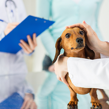 FIVP statement on CMA’s formal market investigation