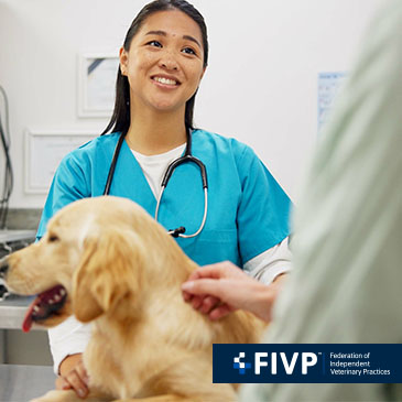 FIVP responds to CMA working papers