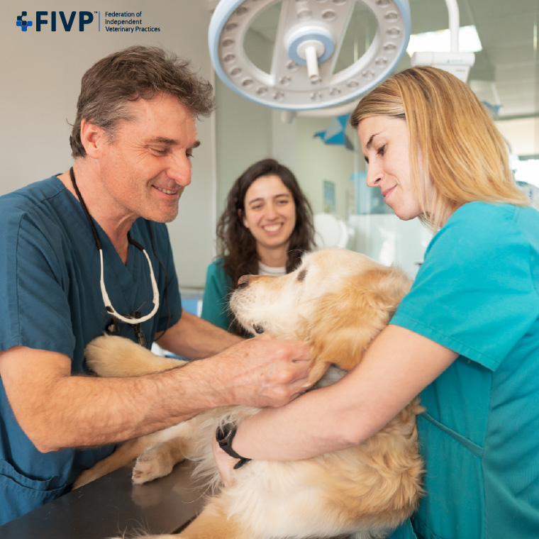 Why CPD Matters: Supporting the Whole Veterinary Team