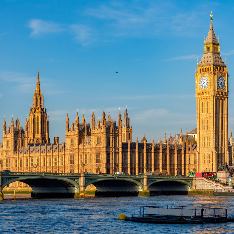 Consultation launched on Veterinary Surgeons Act