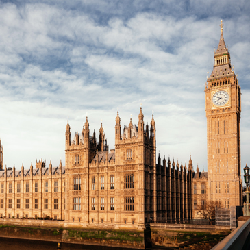 FIVP shares concerns amid Veterinary Surgeons Act consultation