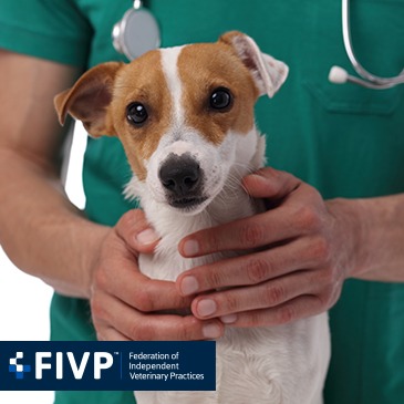 FIVP shares concern for independent practices following CMA final report